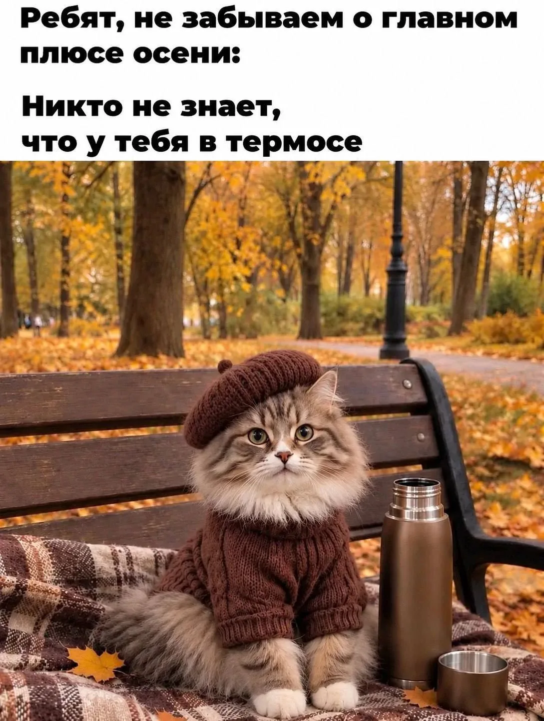Доброе утро 🍁