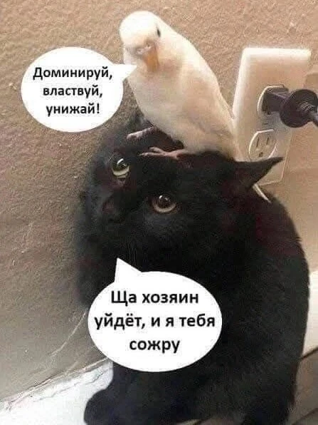 Подпишись на юмор 😂