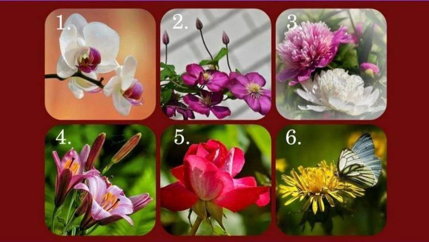 Какой у тебя характер на самом деле и что о тебе думают другие? 🌸👁️

🥰 Ты можешь считать себя мяг