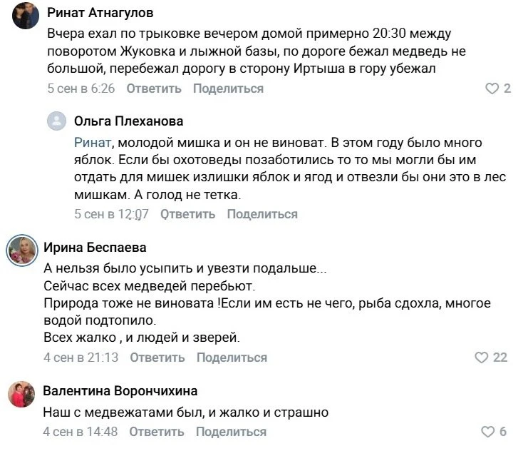 Под Тобольском и Уватом отстреливают медведей