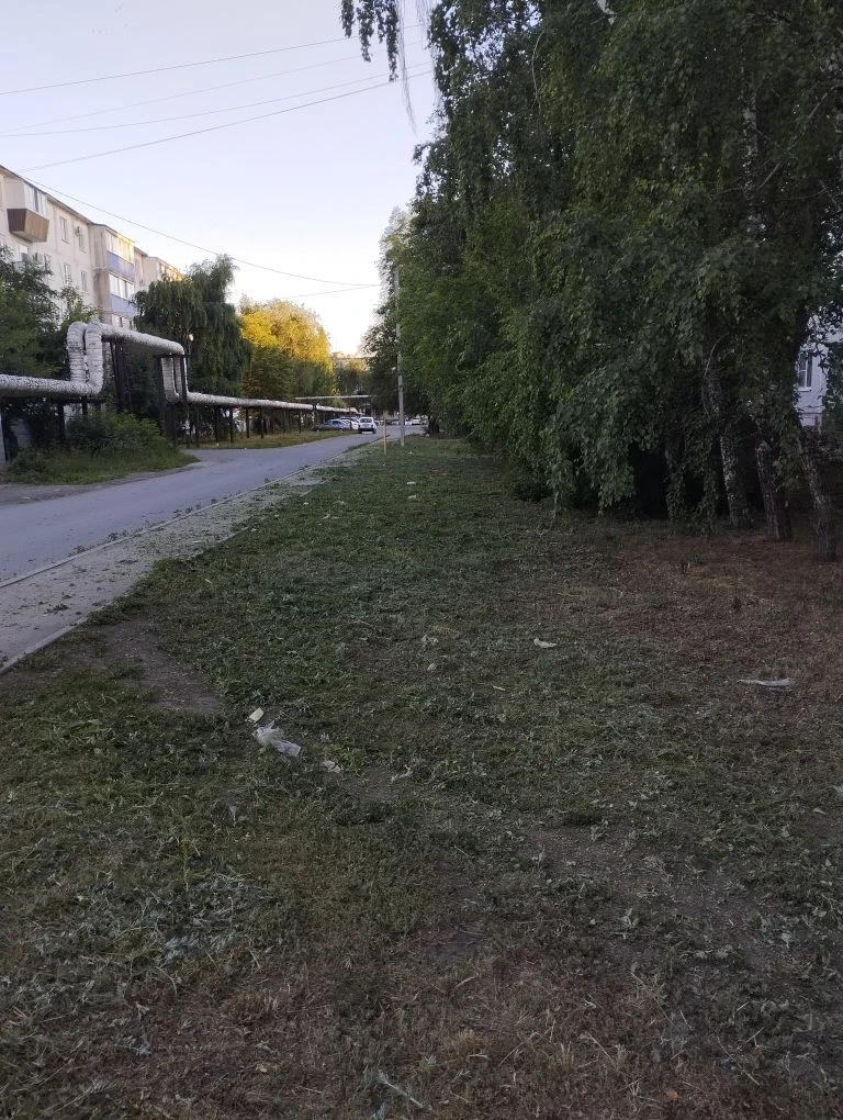 16.06.2026 Плановый покос травы по адресу: ул.Черняховского, д.2
