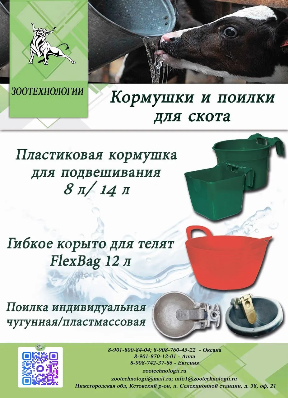 🐮 Кормушки и поилки для КРС: практичные решения для кормления и поения — от телят до в...