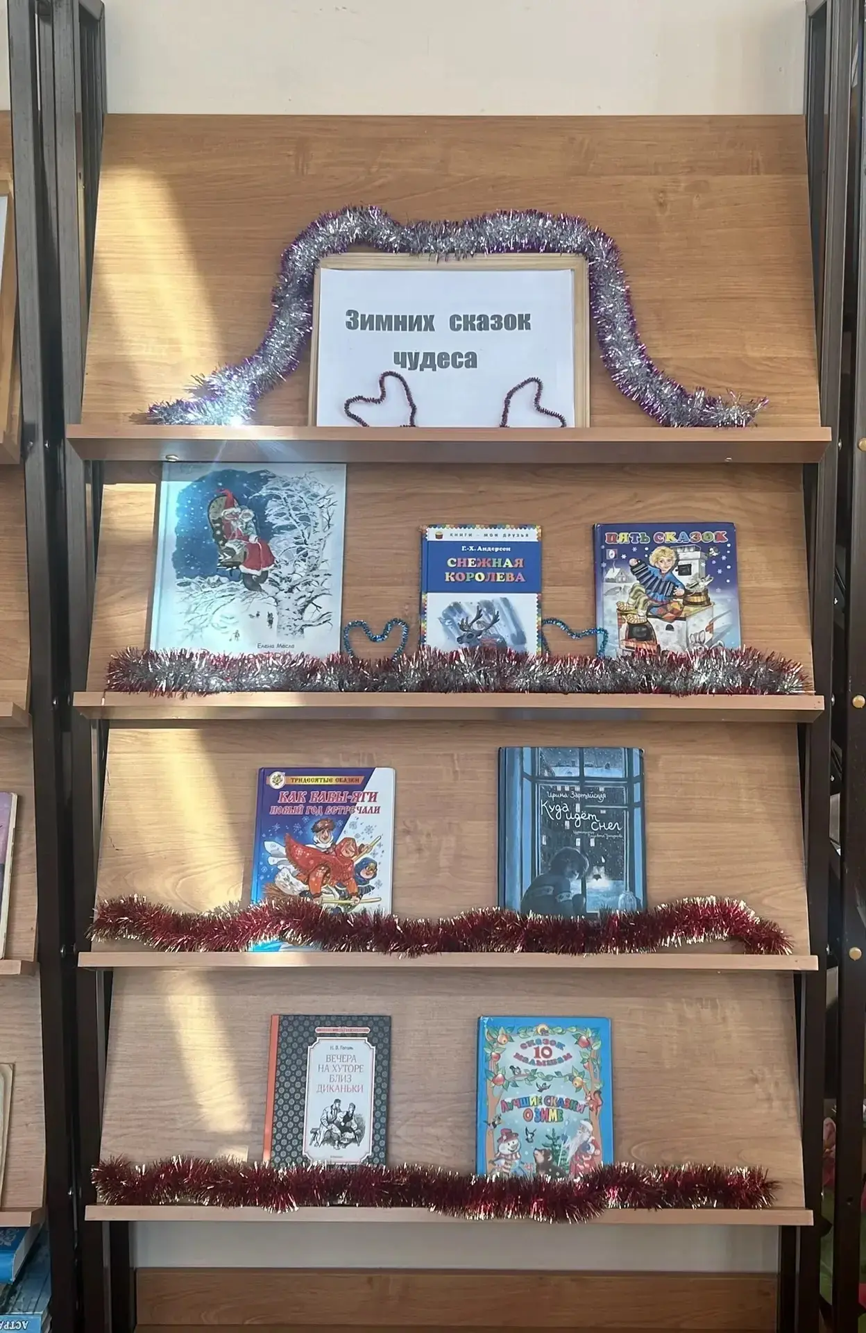 16.12.2025 в Козловской модельной сельской библиотеке  была оформлена книжная выставка посвященная п