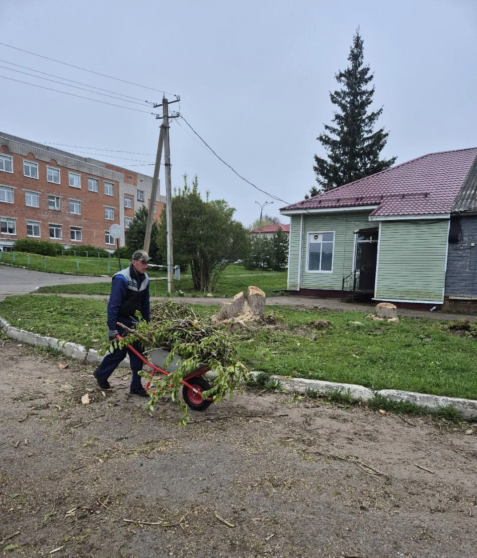 Эстафета хозяйственных работ перешла к Даниловской ЦРБ