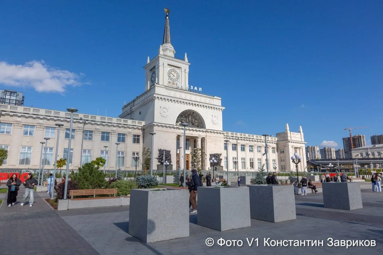 Экзотические пальмы убрали с улиц Волгограда.