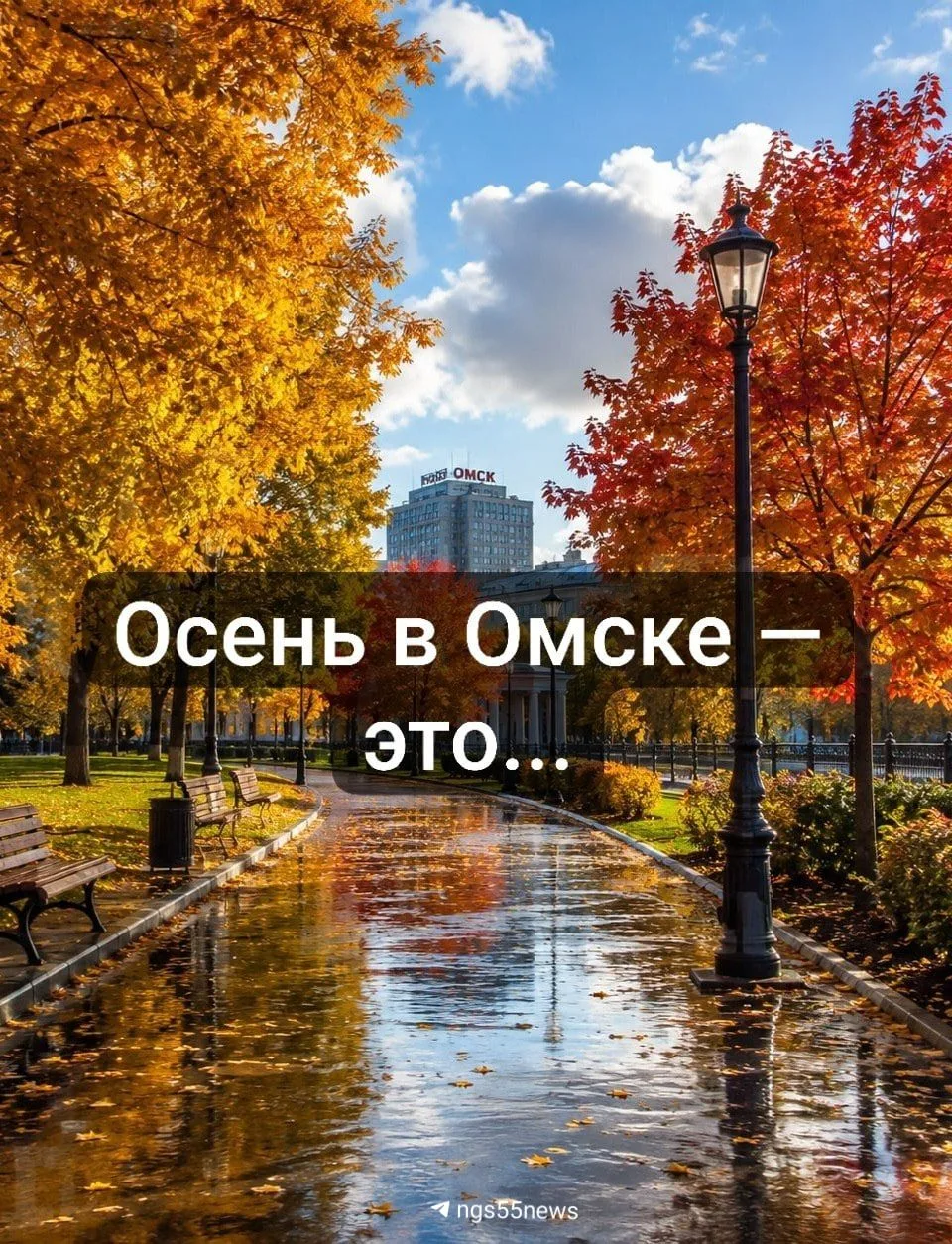 В Омске уже заметно похолодало, пожелтели листья на деревьях, осень вступила в свои пра...