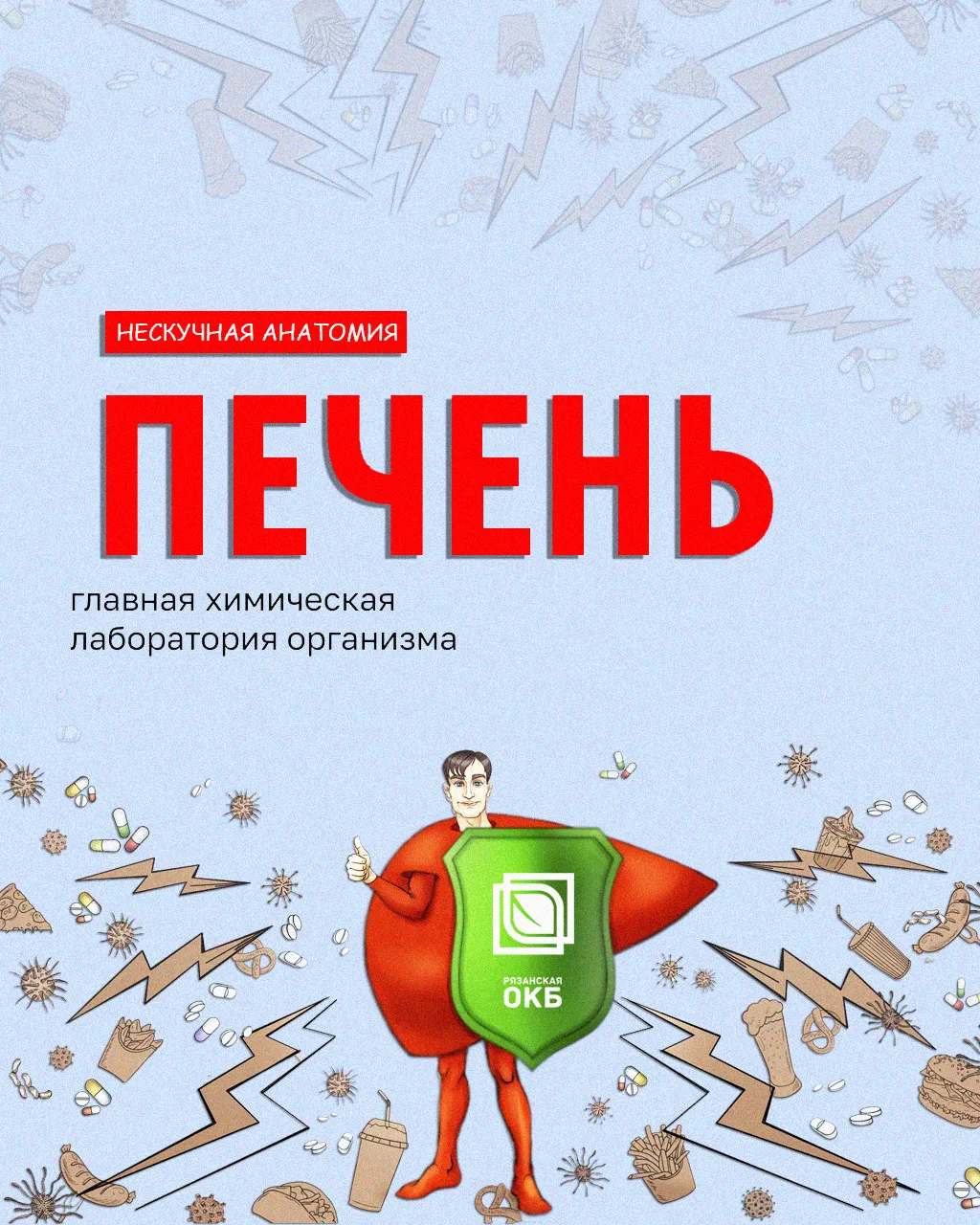 Химическая лаборатория организма: как работает печень

Печень – самый крупный орган в организме, кот