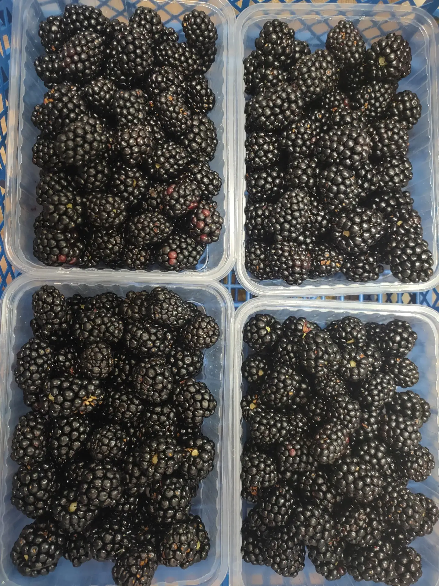 Добрый день! Продам сочную, спелую ежевику. Собрана вчера.