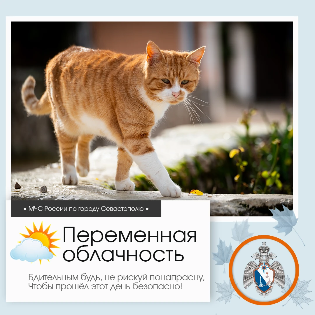 ⛅ Здравствуй, Севастополь!