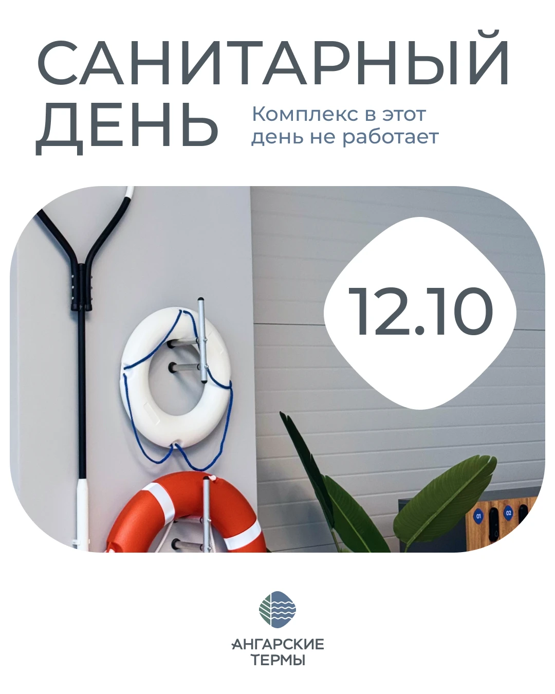 Дорогие гости!