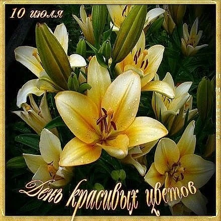 День красивых цветов или День розы (также известный как День цветка розы) - это праздн...