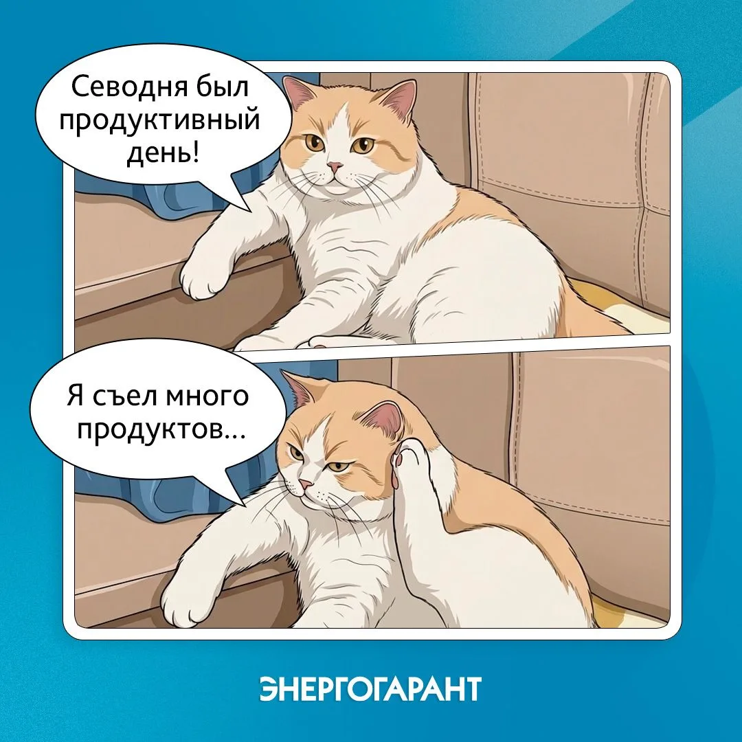 К концу недели мы все немного похожи на этого кота. Утром полны энтузиазма, а вечером чешем за ухом 