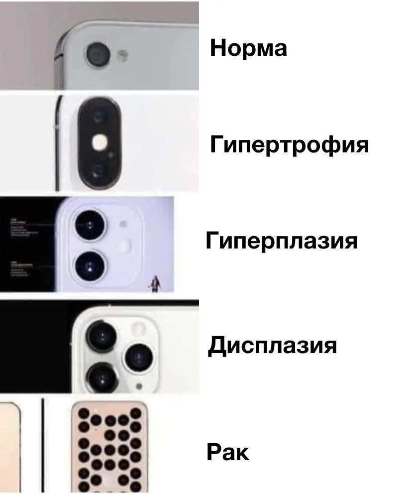 Фото