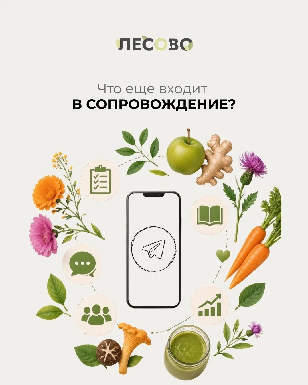 Что входит в сопровождение к детокс-напитку?

Покупая детокс-напиток вы получаете не только сам напи