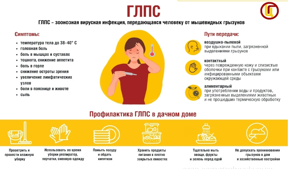 🐭Опасность рядом: что нужно знать о мышиной лихорадке (ГЛПС)