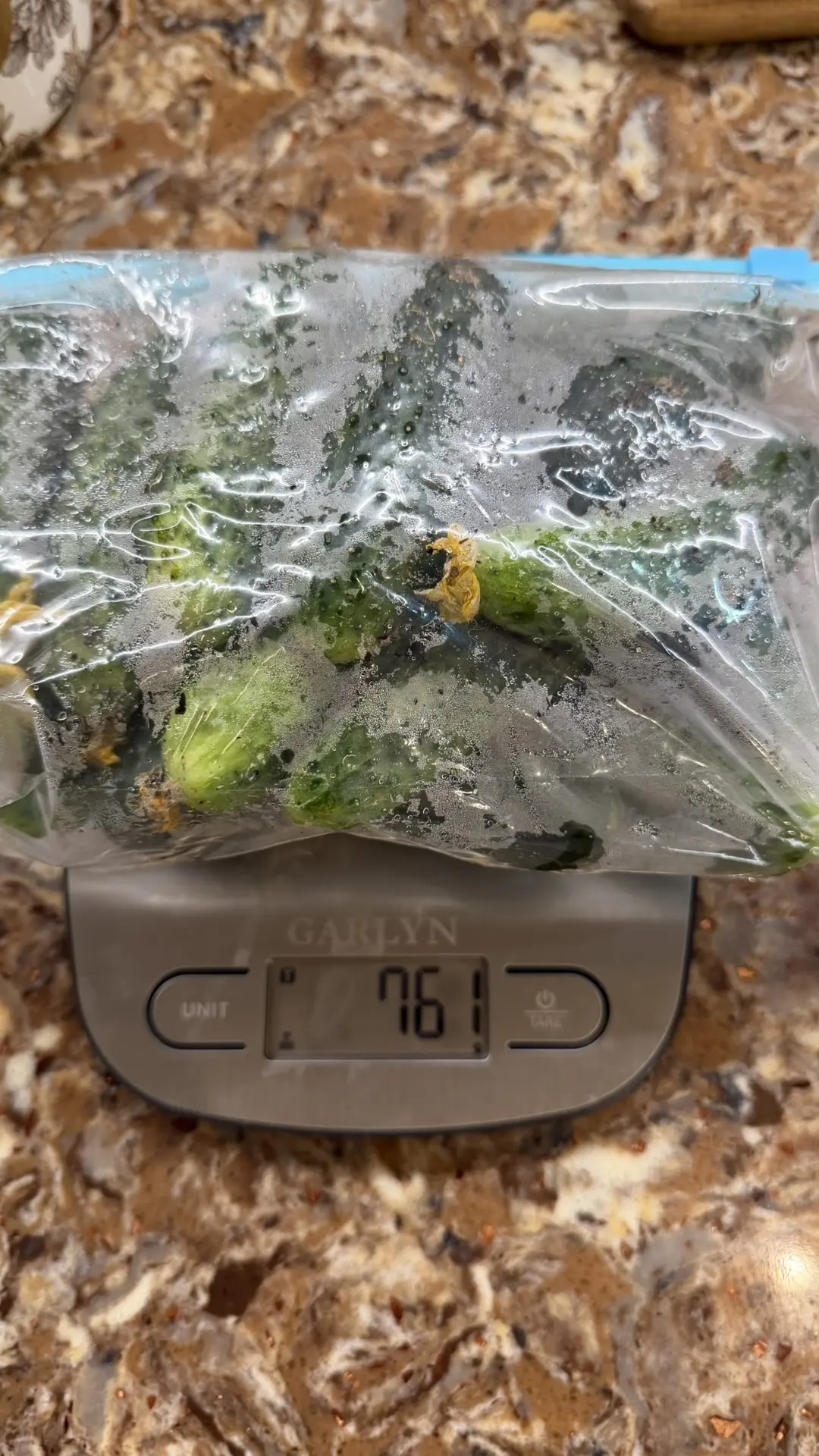 Второй сбор огурчиков 761 гр, холода не замечаем 👌😉