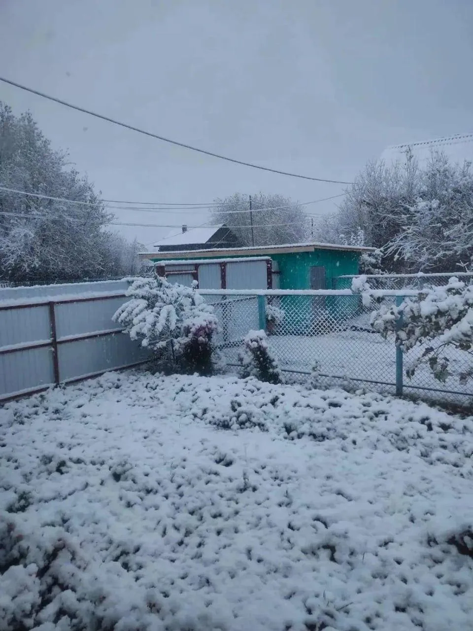 ❄️ В соседний Башкортостан пришла настоящая зима