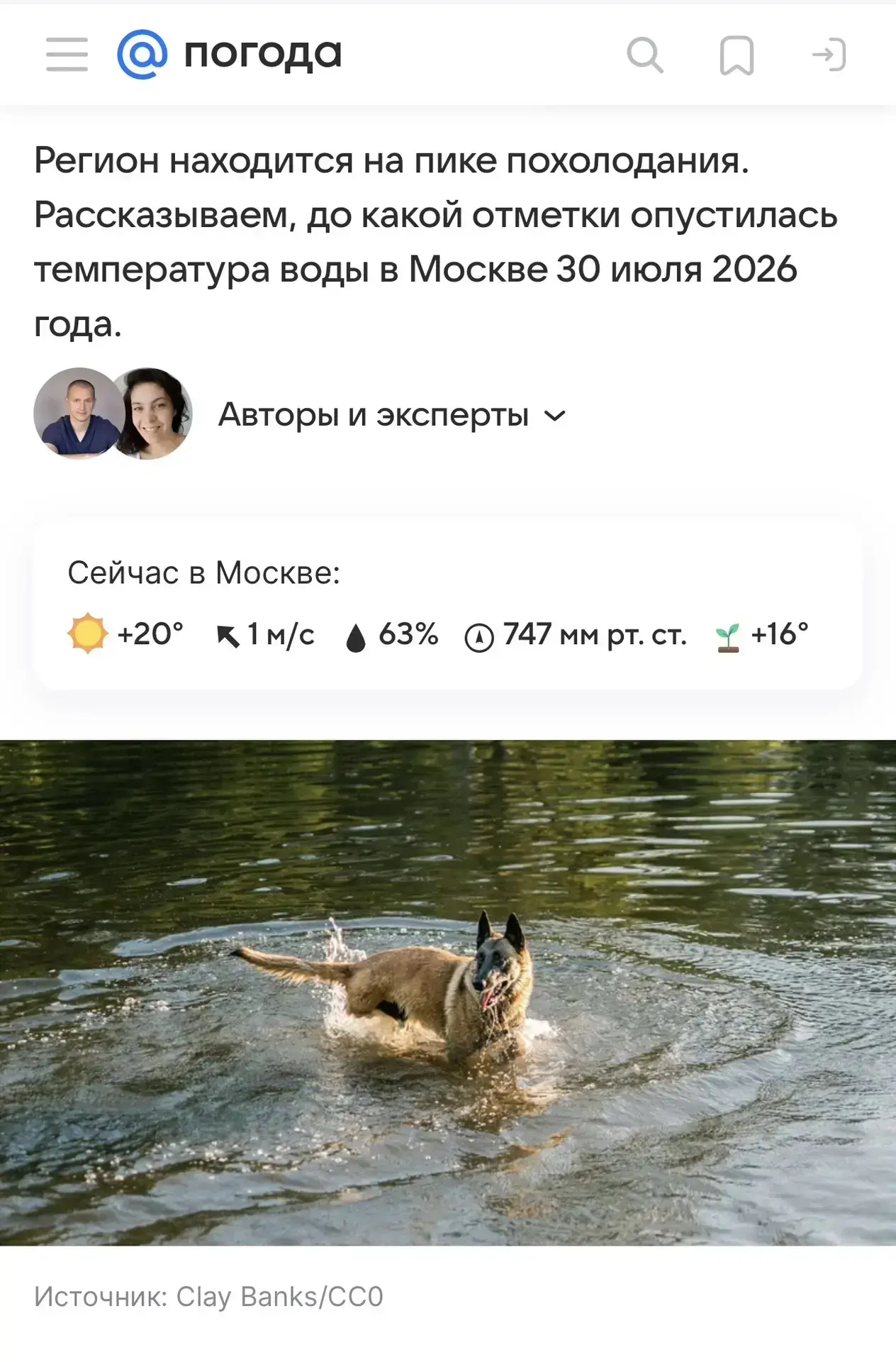 Медиа публикации