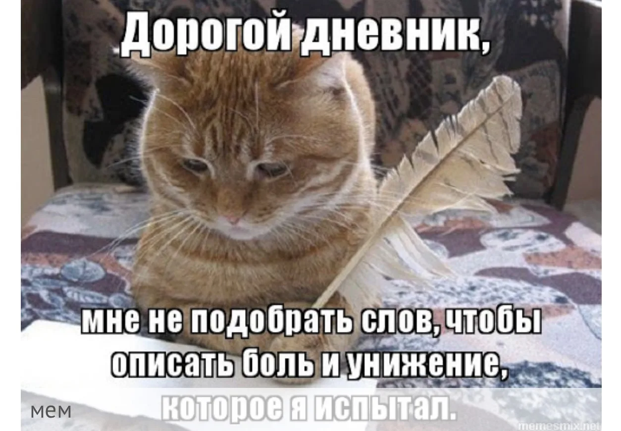 Дорогой дневник…