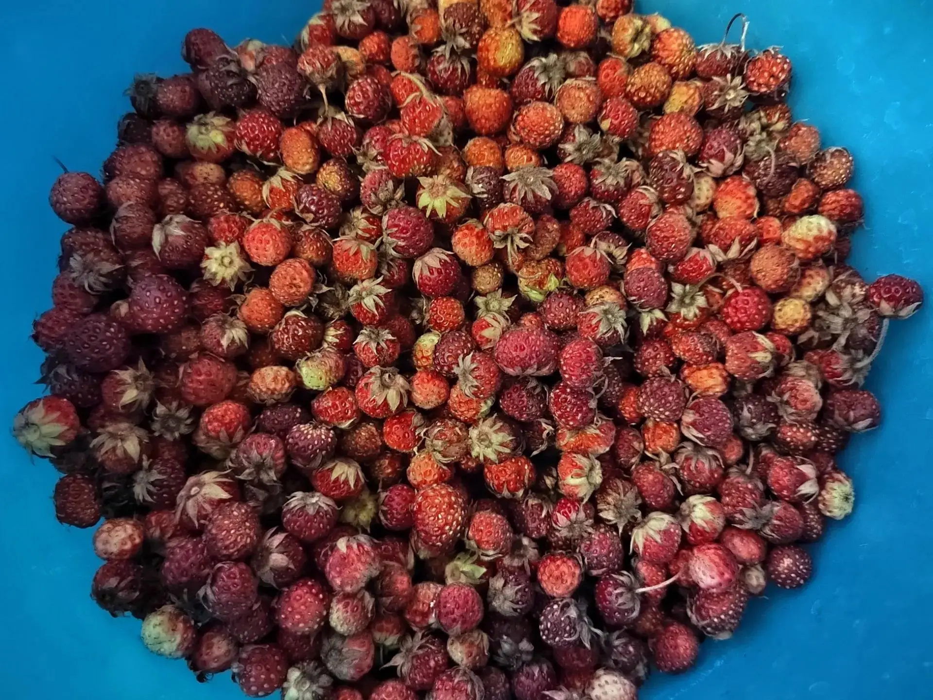 Ммм, настоящий вкус лета 🍓А у вас как в этом году с ягодой? Отмечайте, что в основном делали: 

👍 