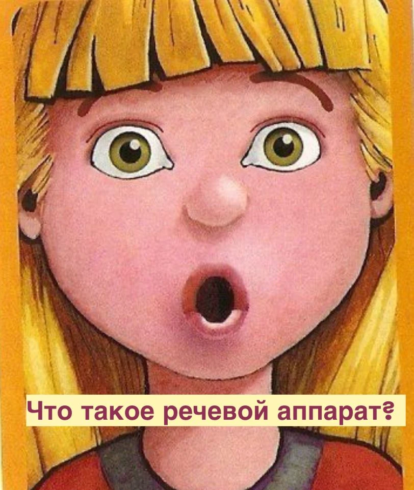 Что такое речевой аппарат и почему без него вы не заговорите?

Представьте: вы купили гитару, но пал