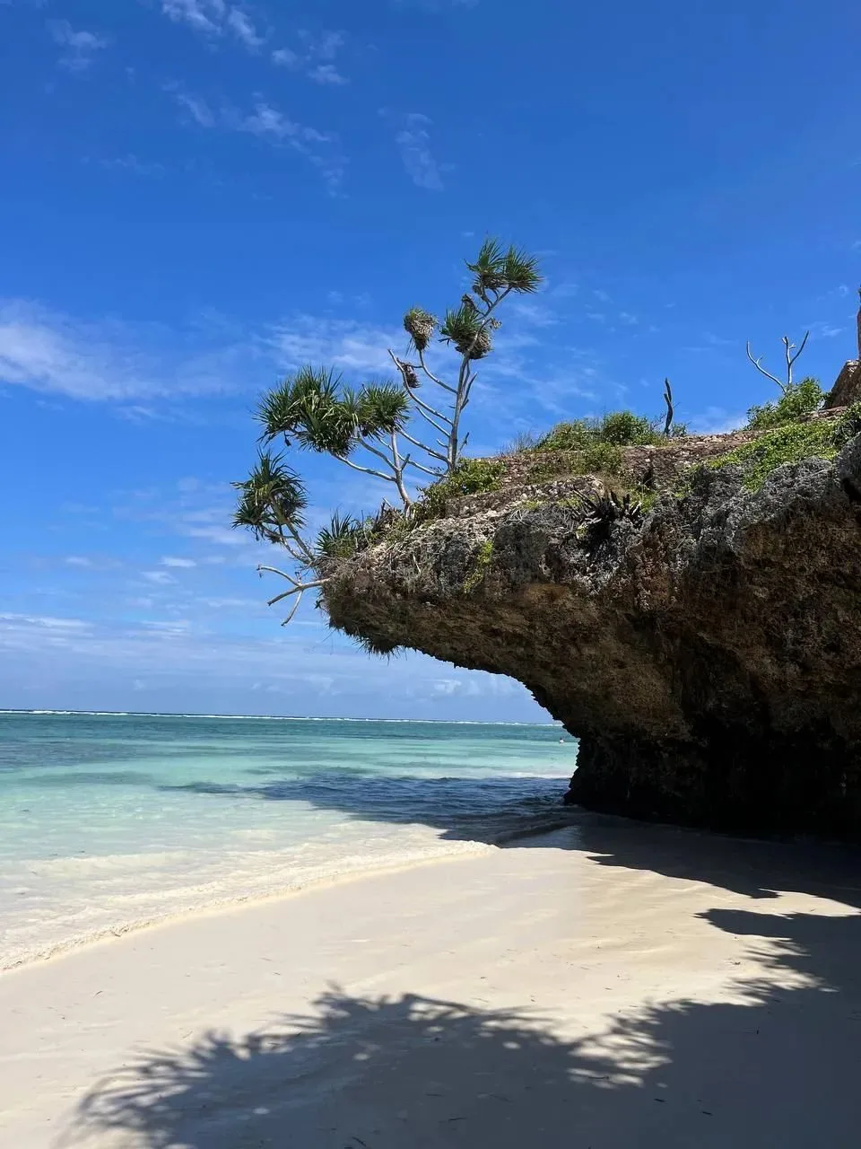 🏝🏝🏝ТАНЗАНИЯ, о. ЗАНЗИБАР