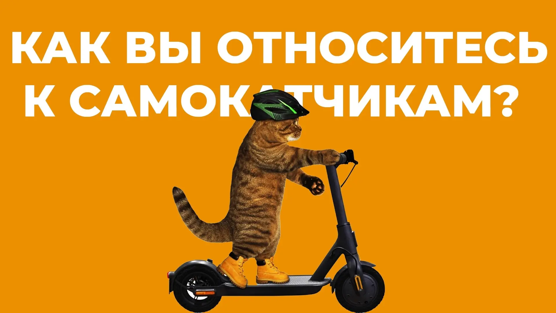 Как вы относитесь к самокатчикам? | Соцвопрос