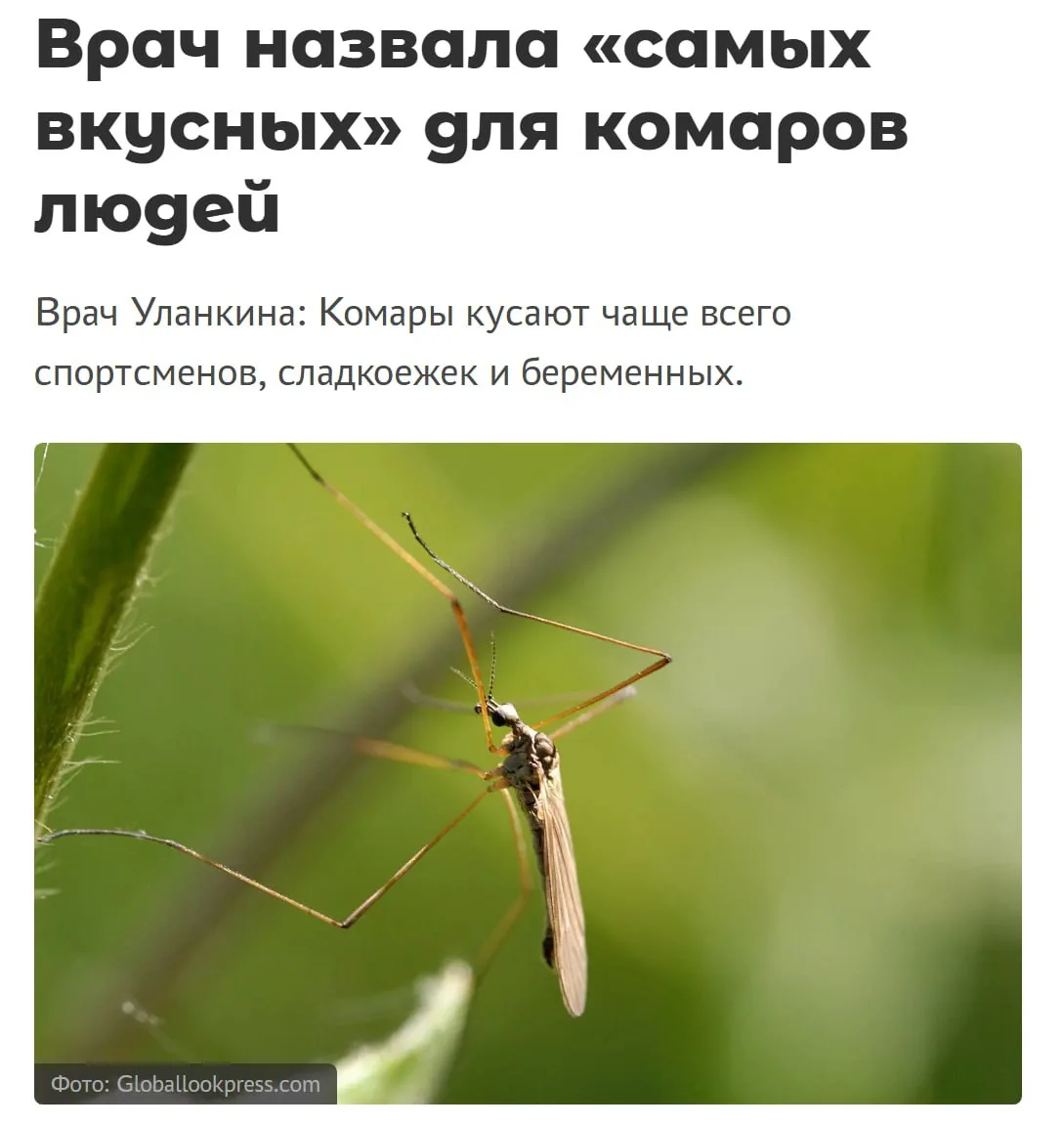 🗣Сладкоежки — главная мишень для комаров, заявили врачи

В первую очередь кровососы ориентируются н