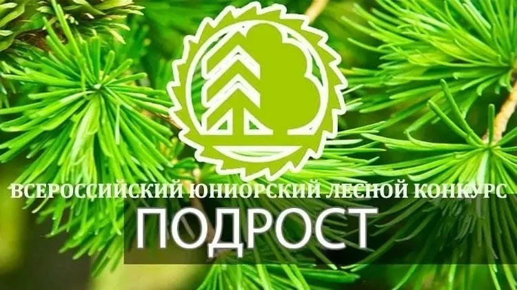 Призовые места заняли вологжане в финале Всероссийского юниорского лесного конкурса «По...