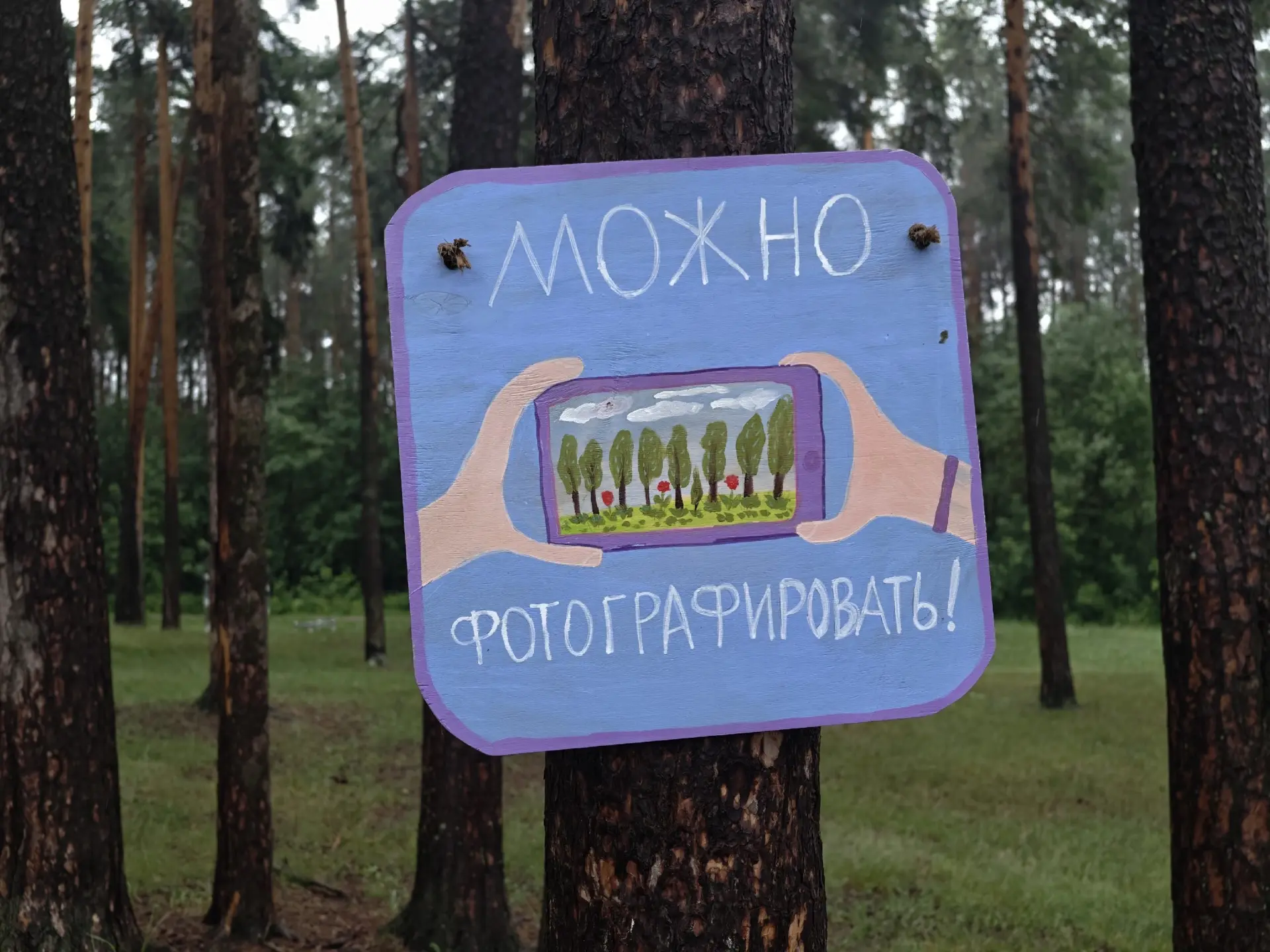 Черняевский лес как арт-пространство 🌳

Фото: Albert Black