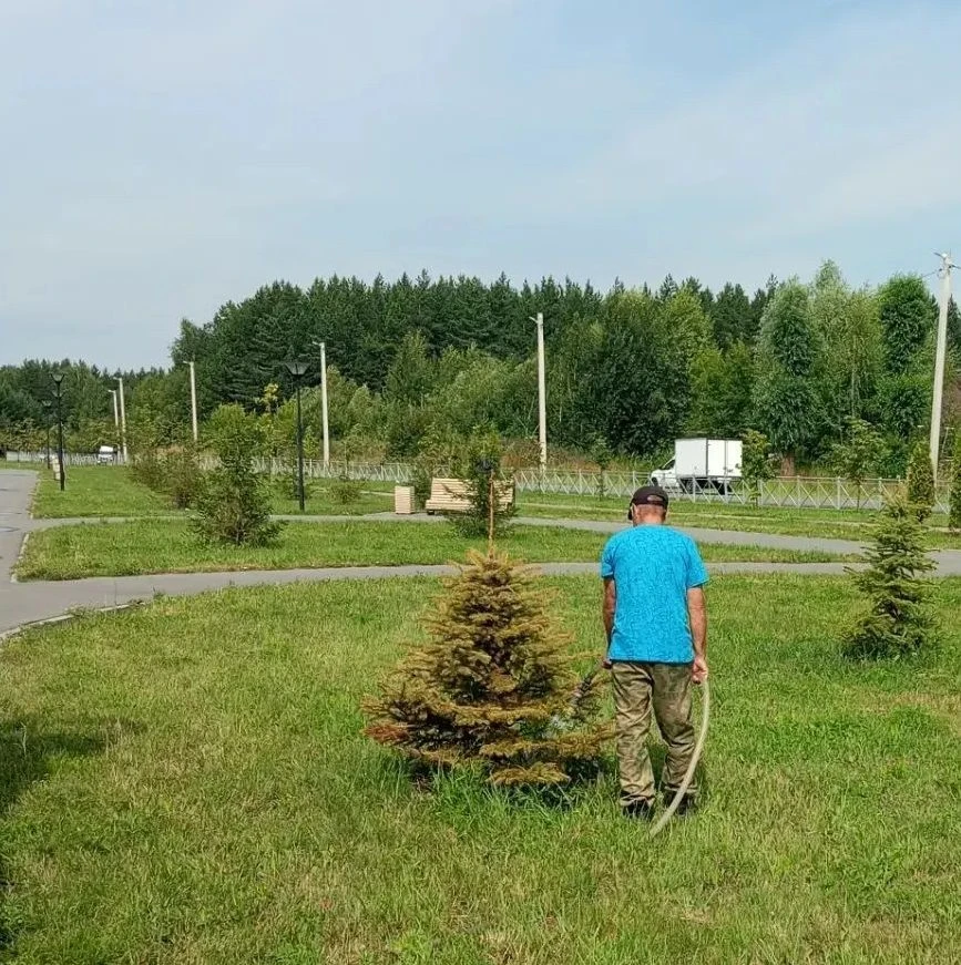 На этой неделе глава города Александр Болдакин поручил нам усилить полив зеленых насаждений из-за жа
