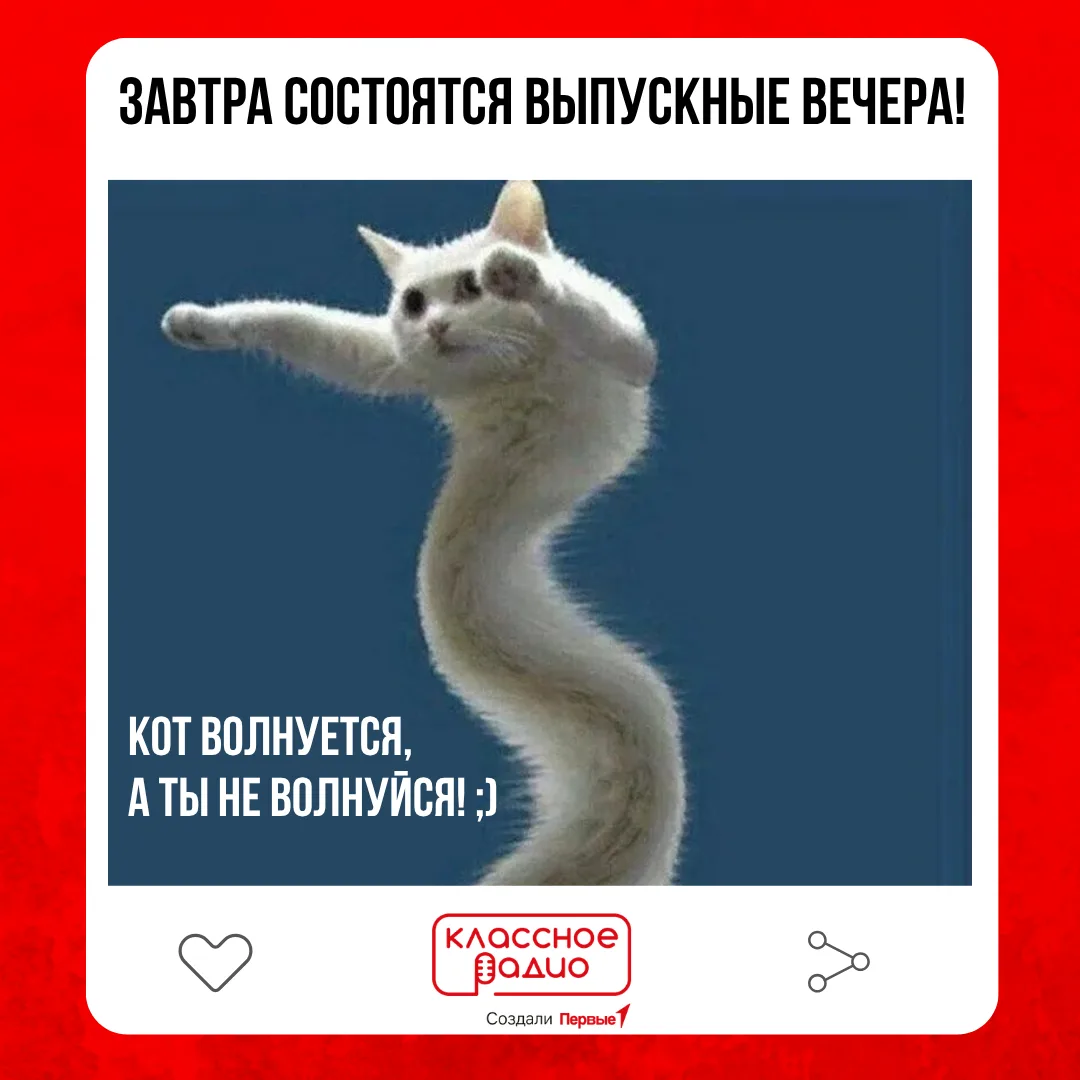 В большинстве школ страны выпускные вечера состоятся уже завтра! ⚡