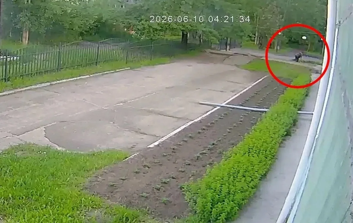 Каждый год у нас в школе № 28 творится маленькое чудо: дети, родители и педагоги дружно берутся за л