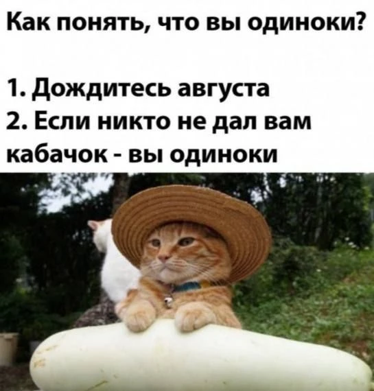 Люди стали проводить больше времени в одиночестве, — исследование