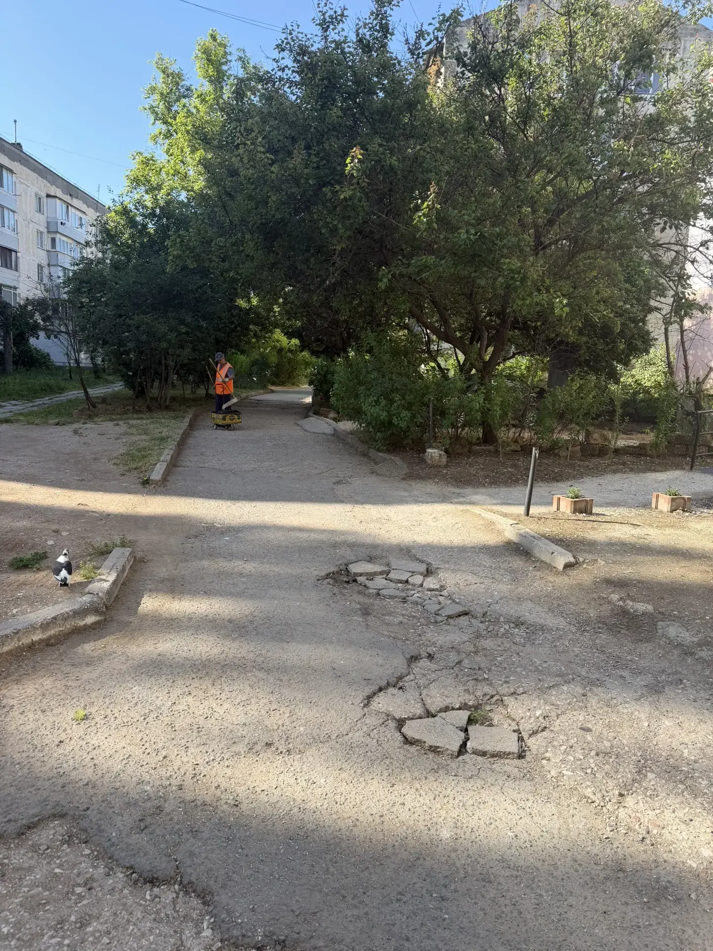 Уборка придомовой территории 06.06.26 г. по ул.Интернациональная 43