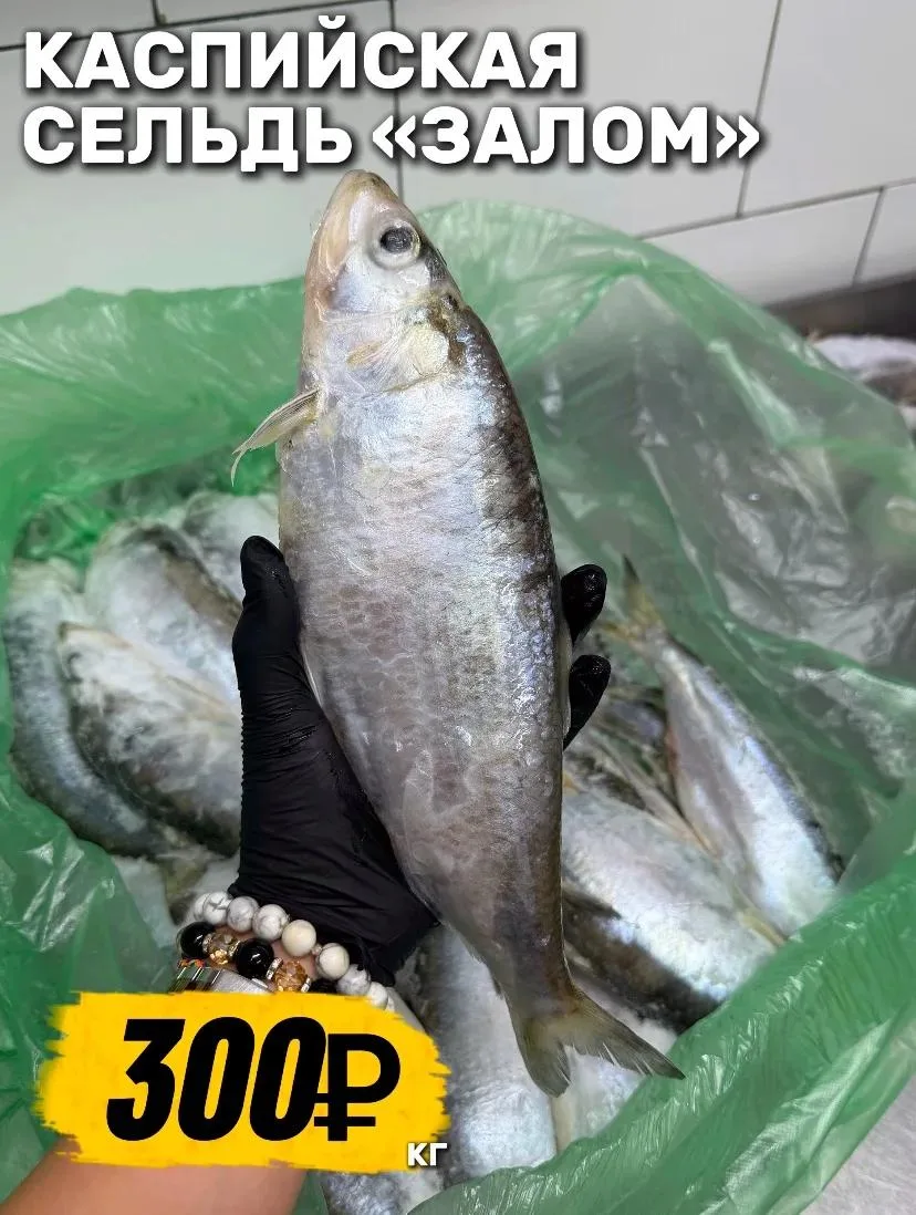 🐟🔥 ОТЛИЧНЫЙ ПРИВОЗ РЫБКИ!