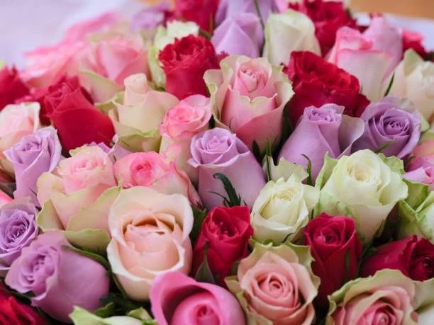 🌷 Поздравляем Валентину Михайловну Концевич с днём рождения! 

✨Желаем крепкого здоровья, терпения 
