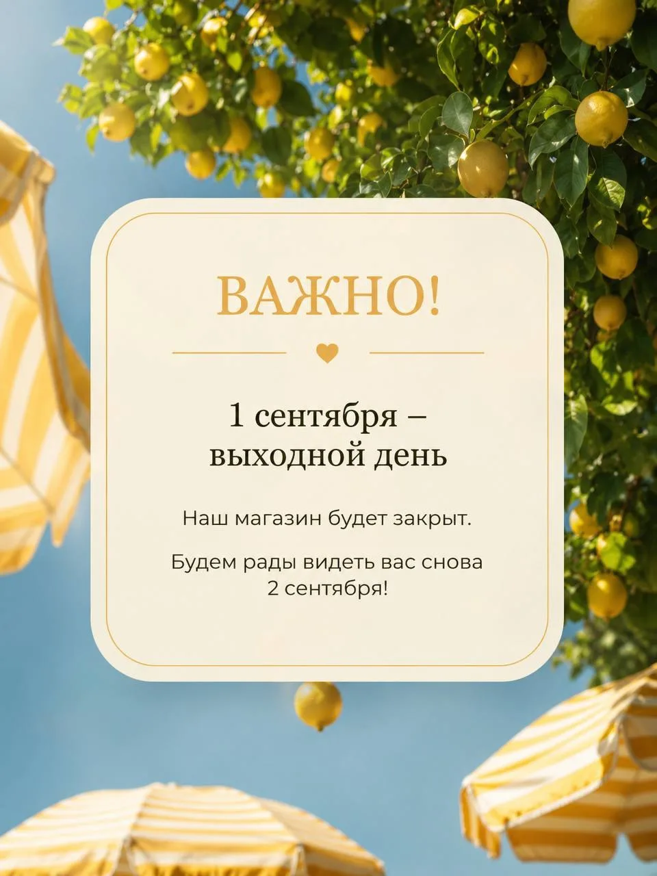 ☀️ Друзья, небольшое объявление!
