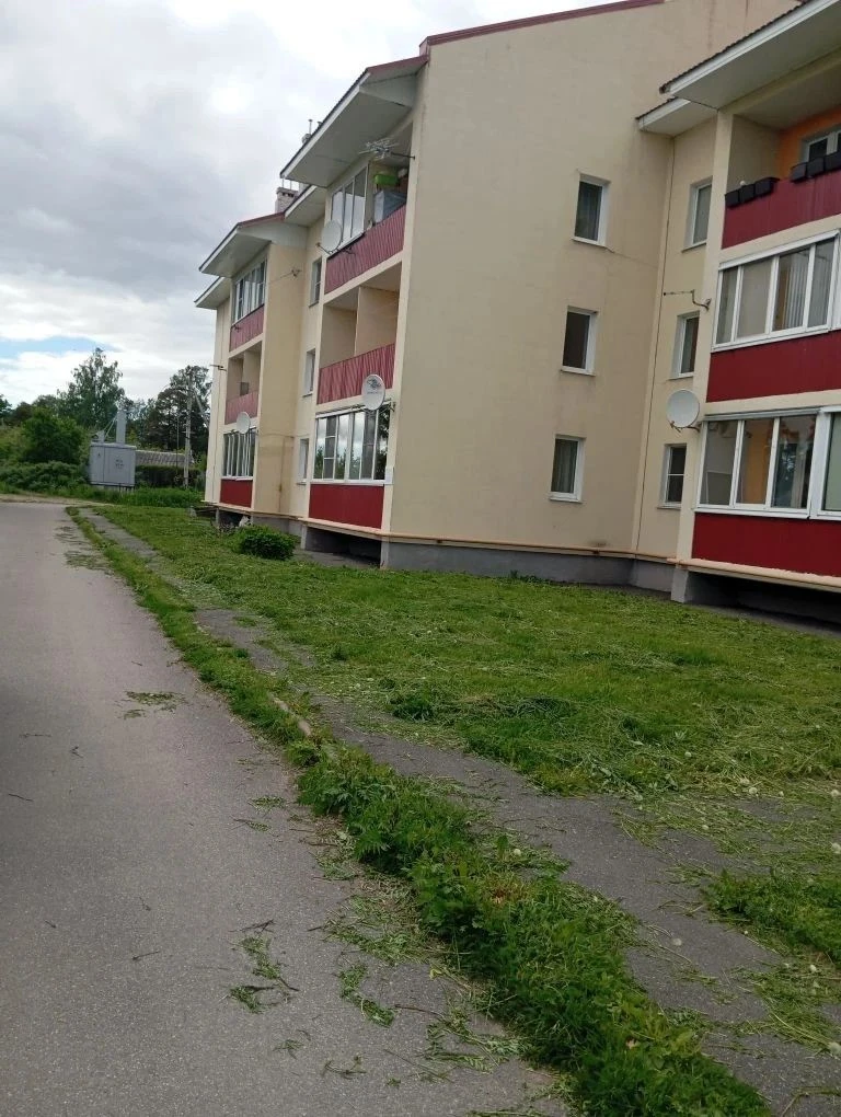 Покос в Таицком ТУ