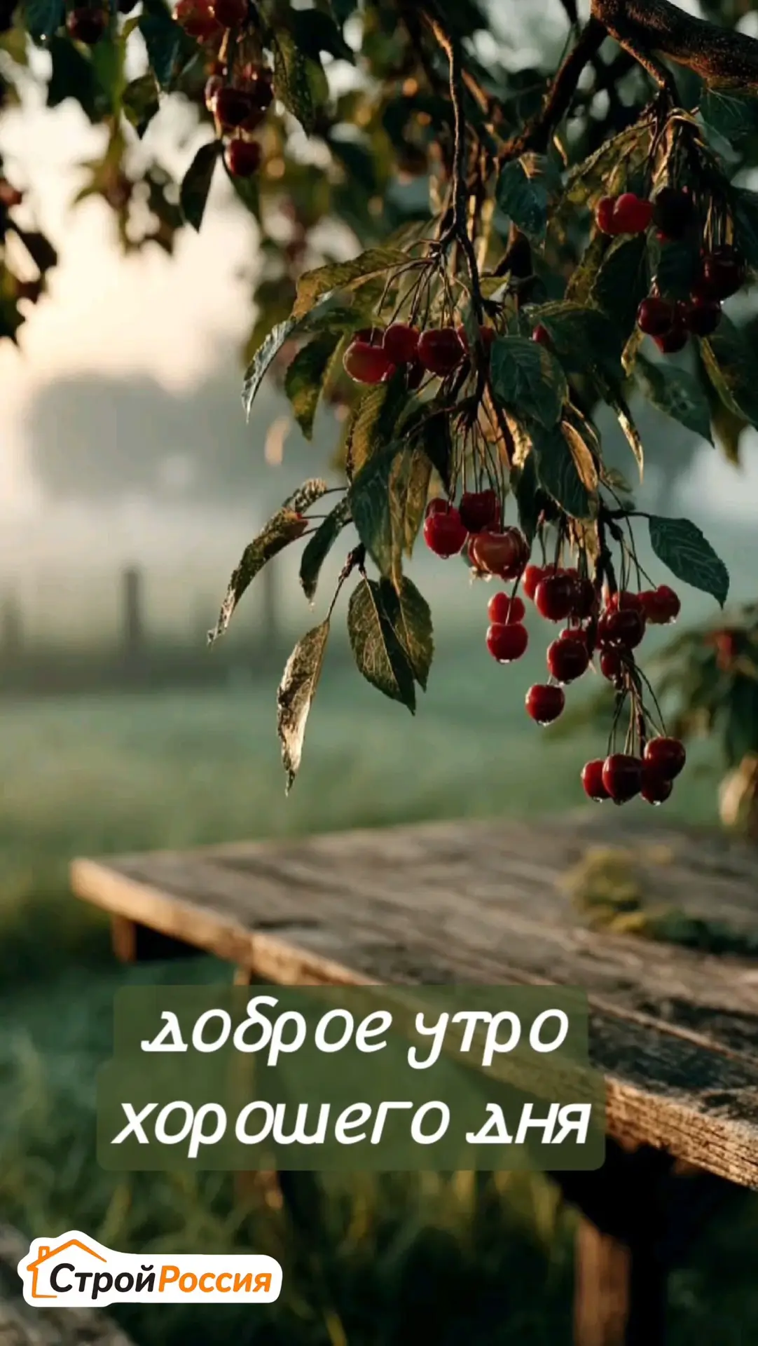 🌿 Доброе утро!

Каждый новый день — это ещё одна возможность сделать свой дом красивее, а жизнь — у