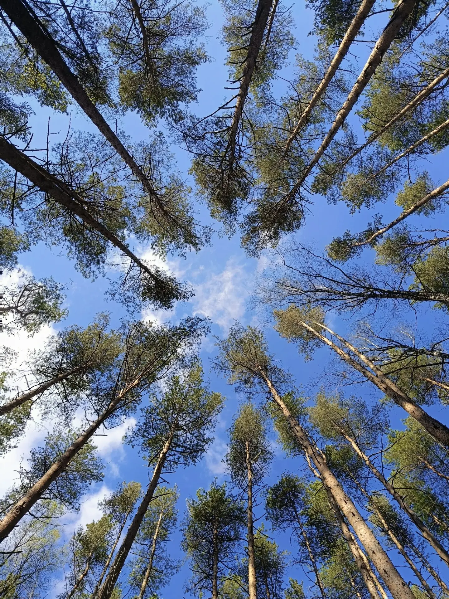 Доброе утро, политехники☀️