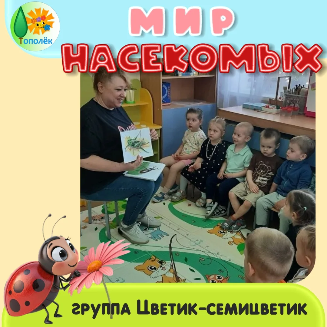 Сегодня мы с ребятишками группы Цветик-семицветик провели занятие по ознакомлению с мир...