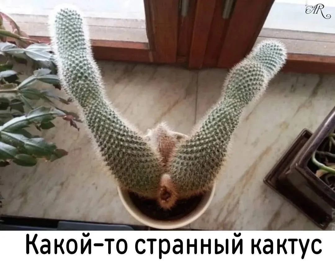 Улётные приколы - Подписаться