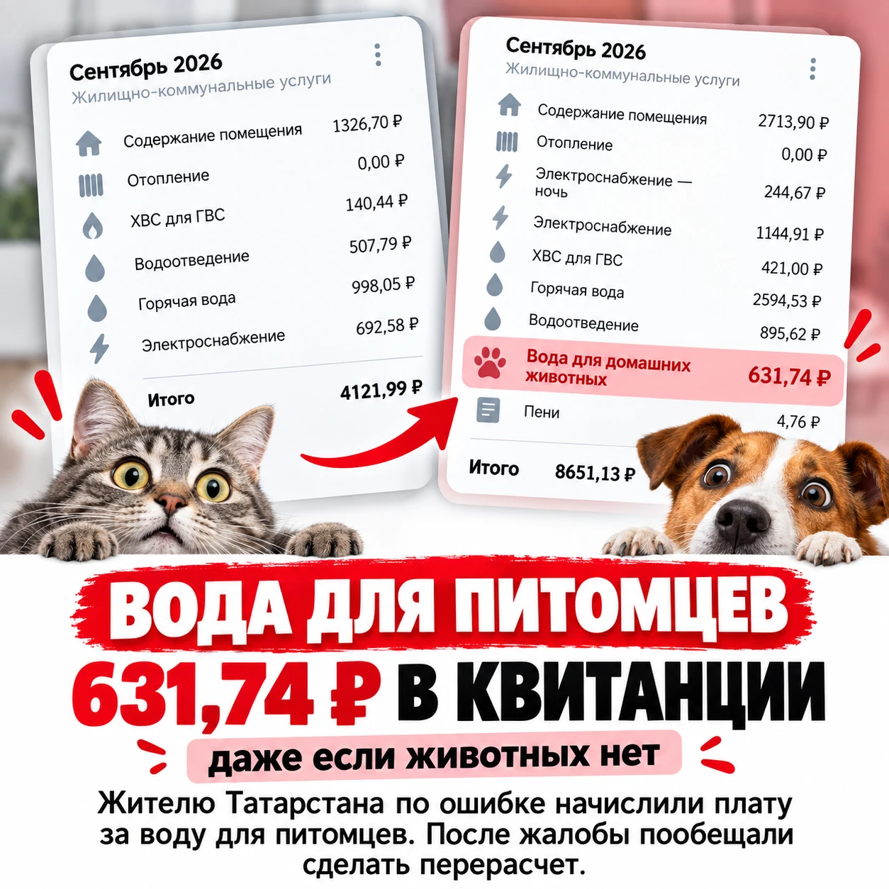 💧 Коммуналка за воду для питомцев — даже если питомцев нет