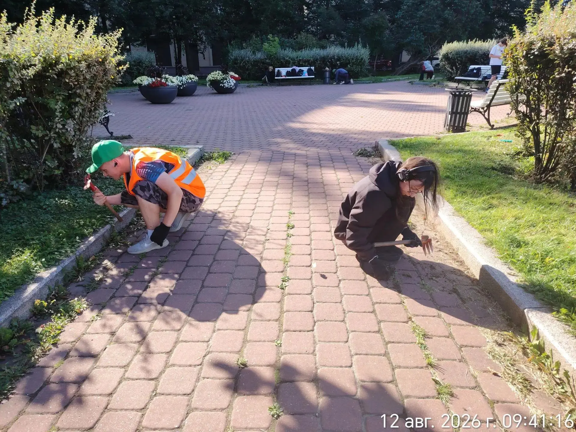🌿 Прополка — один из важных этапов ухода за зелёными насаждениями