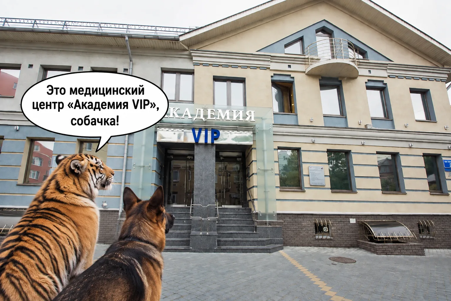 Теперь ты знаешь, что такое «Академия VIP», собачка 😎