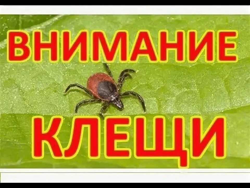 Уважаемые жители района ! В связи с сезонной активизацией клещей призываем соблюдать ме...