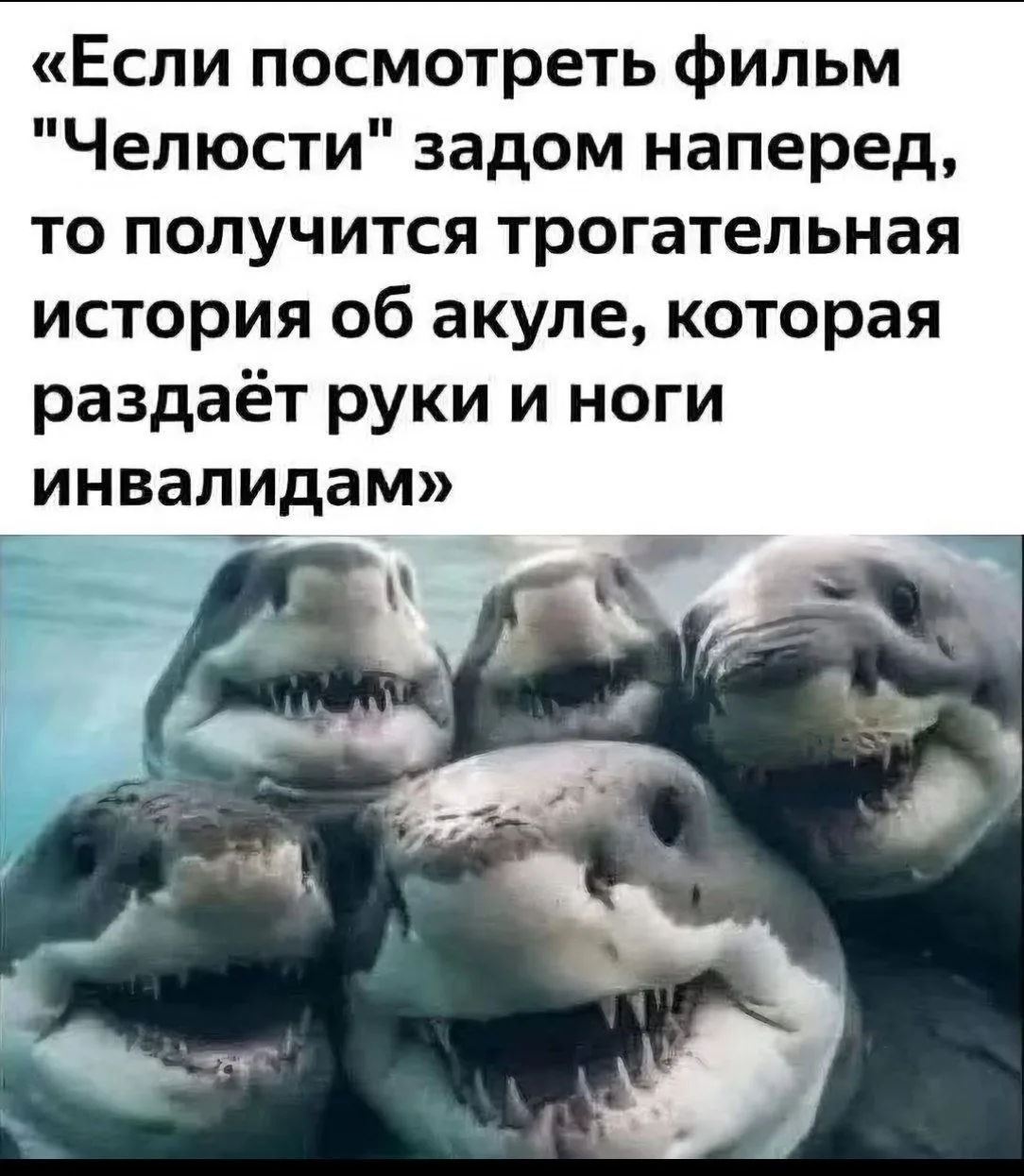 🤣😅