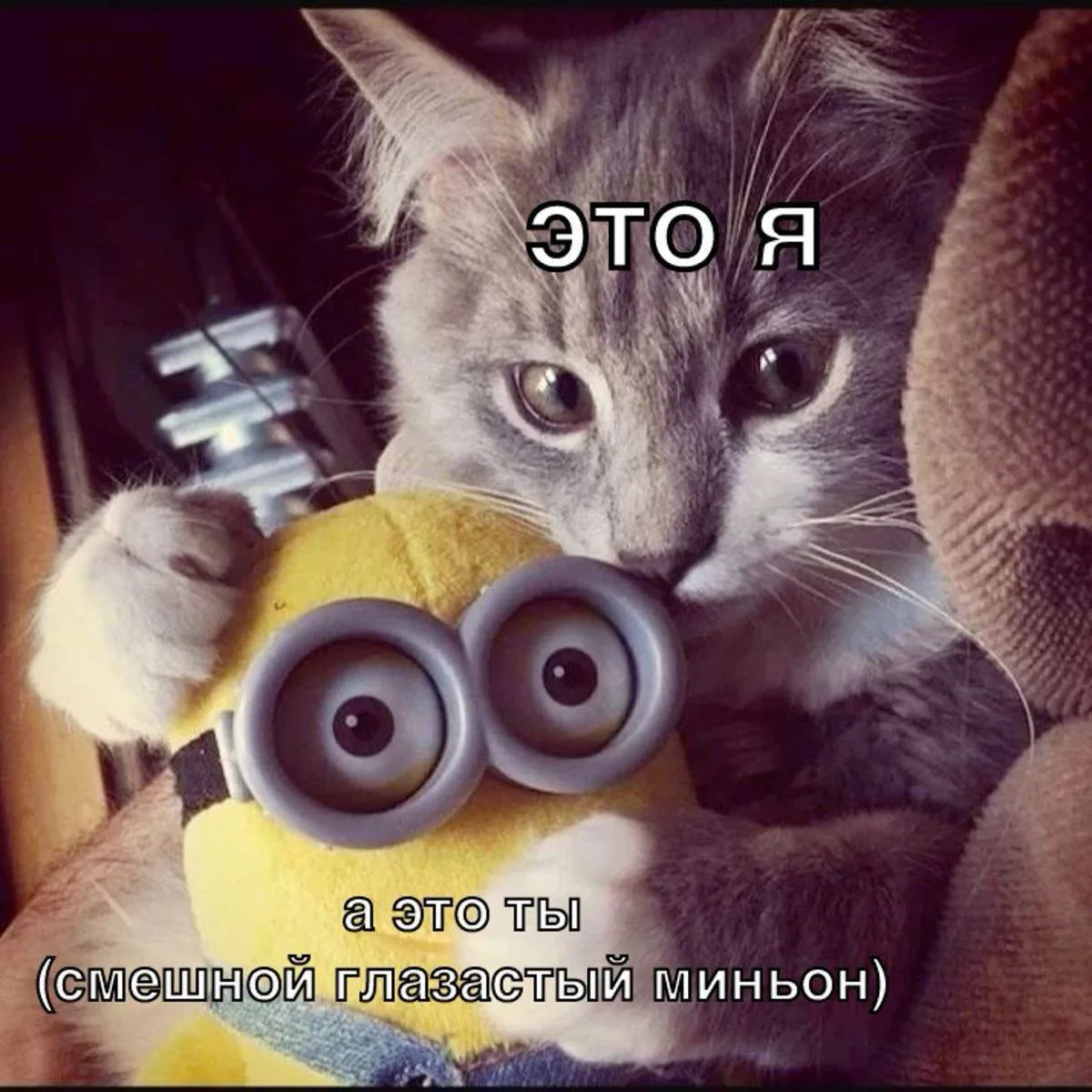 *пересылай своей бро <3