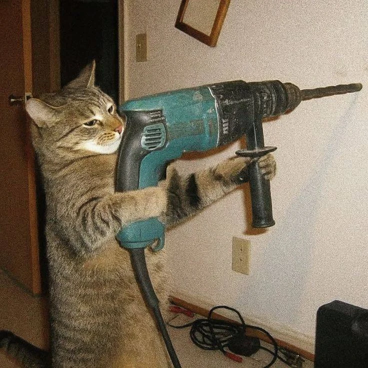 🛠️ Дома постоянно находится что-то, что надо починить?